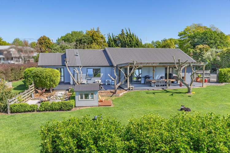 178 The Avenue Levin_22
