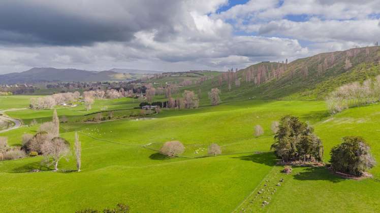 352 Hatuma Road Waipukurau and Surrounds_5