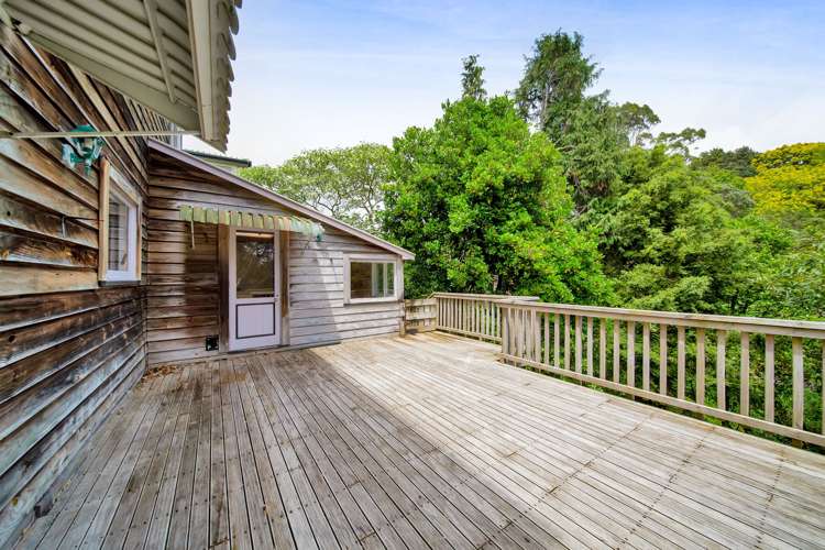 44 Carrington Street Lower Vogeltown_8