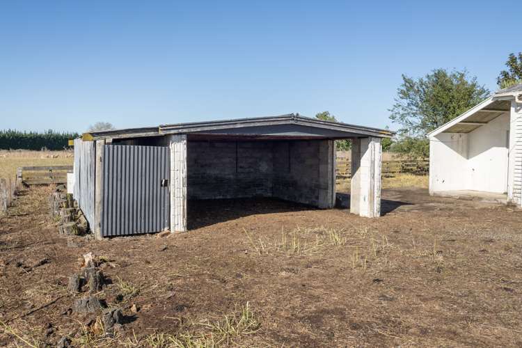 22 Taverners Road Dromore_9