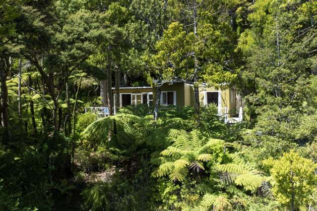 101-103 Lone Kauri Road Karekare_4