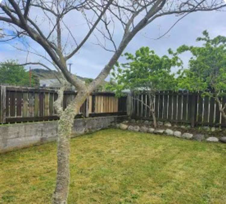 115 Buller Road 1863_14