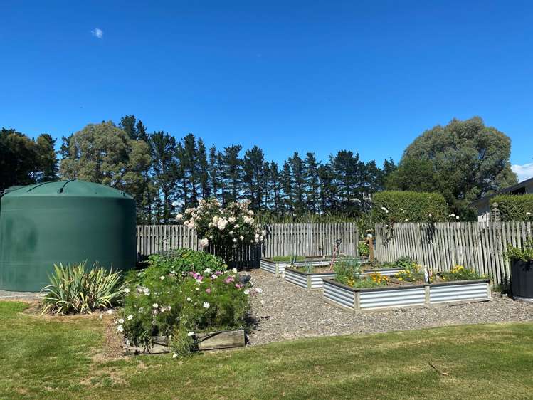 218 Munro Road Cheviot_24