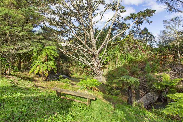 1068a Old Mountain Road Raglan_35