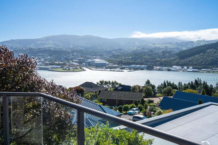 225 Larnach Road Waverley_12