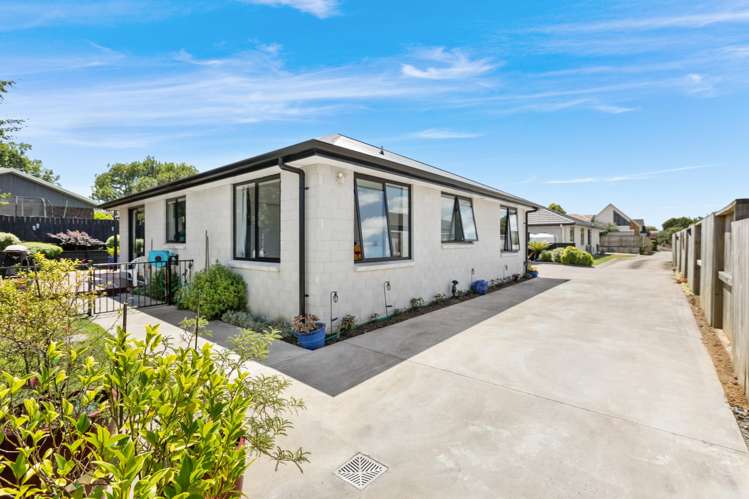 53b George Street Morrinsville_19