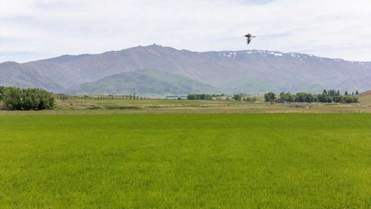 57 Golden Road Alexandra_49