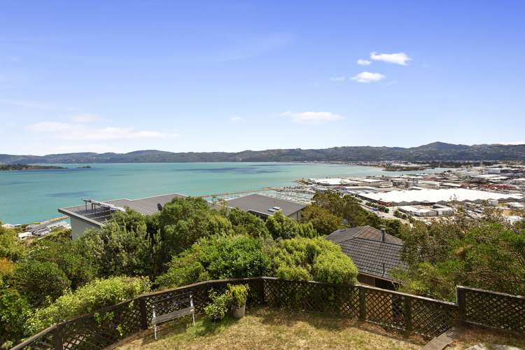 8d Nikau Road Point Howard_10
