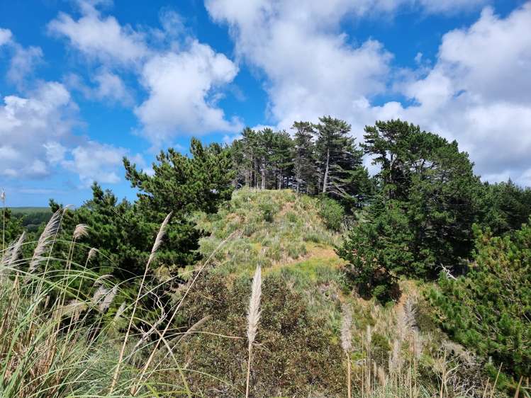 71 Hukatere Road Pukenui_22