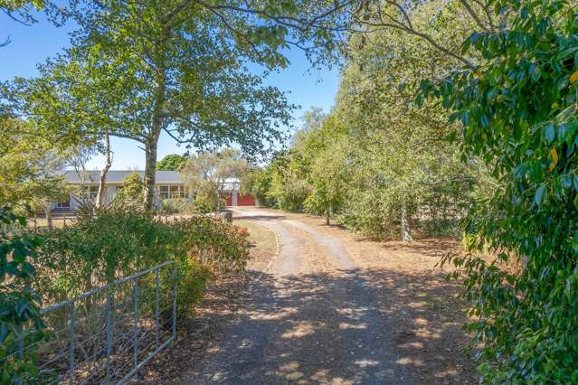268 Marychurch Road Matangi_2
