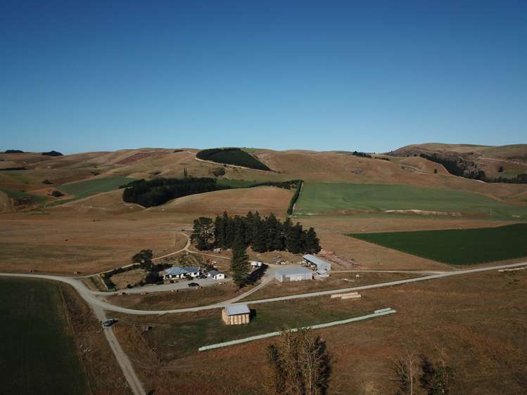 207 Tondros Road Fairlie_5