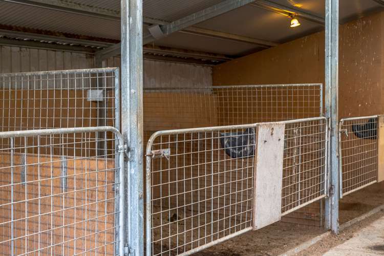 400 Mikimiki Road Mikimiki_10