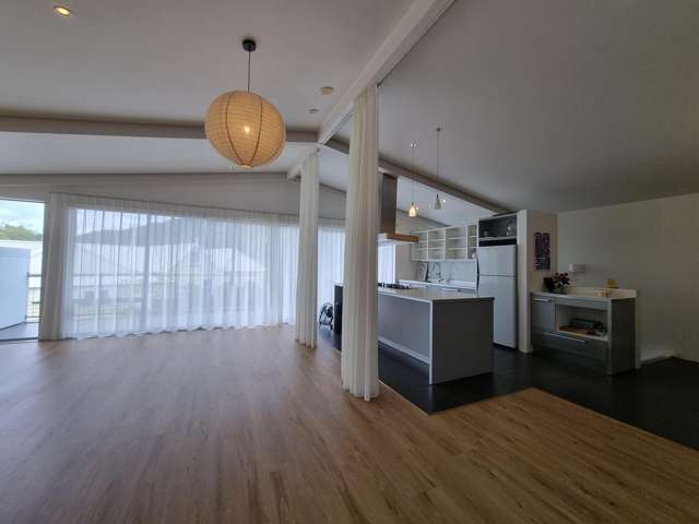 117 Dent Street Whangarei_1