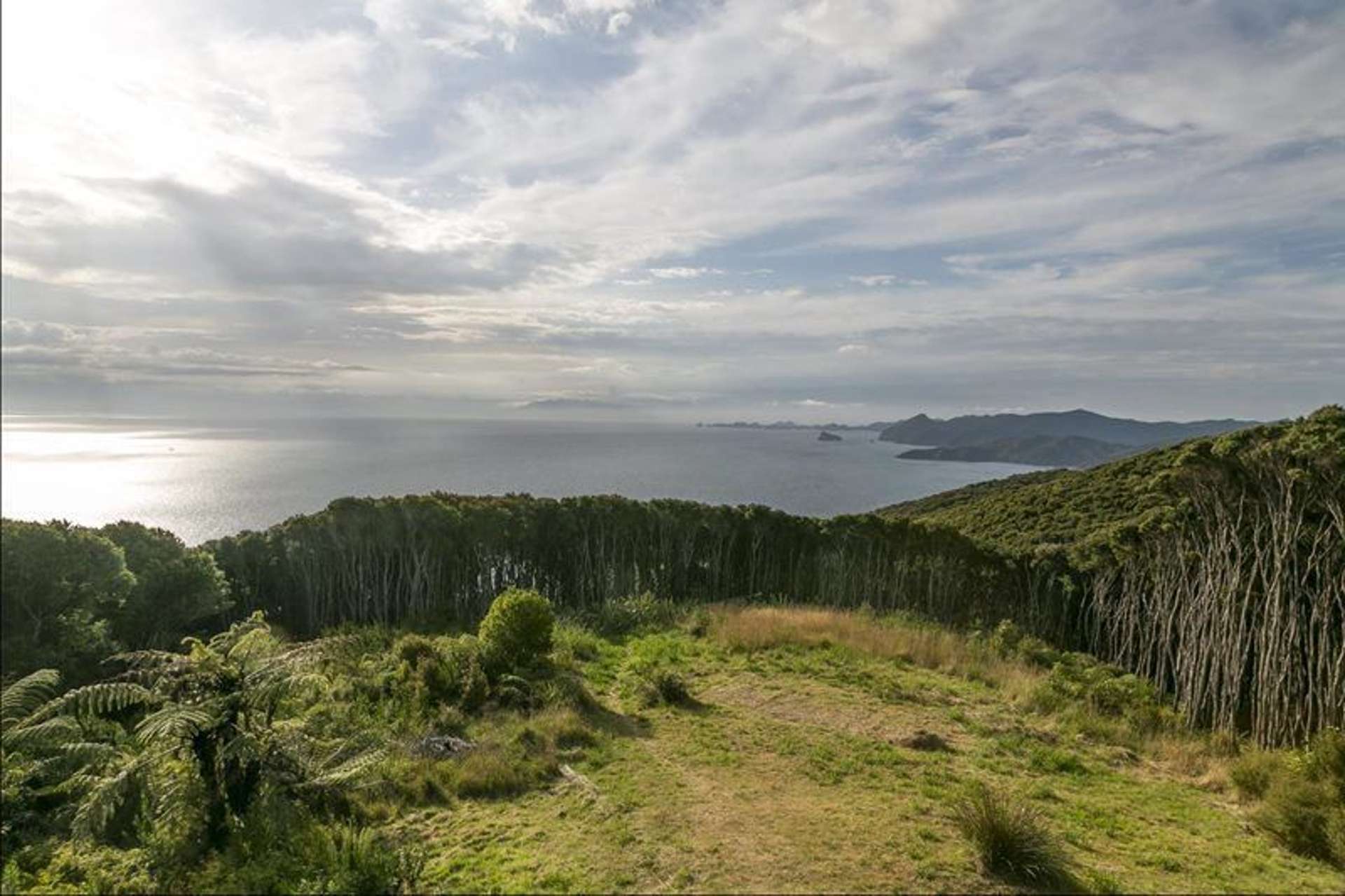 417 Schooner Bay Road Great Barrier Island (Aotea Island)_0