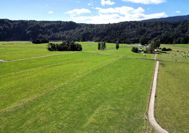 EXCEPTIONAL FIRST FARM OPTION, 225 COWS