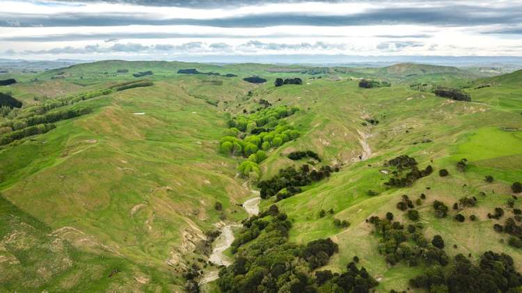 139 Clareinch Road Omakere_20