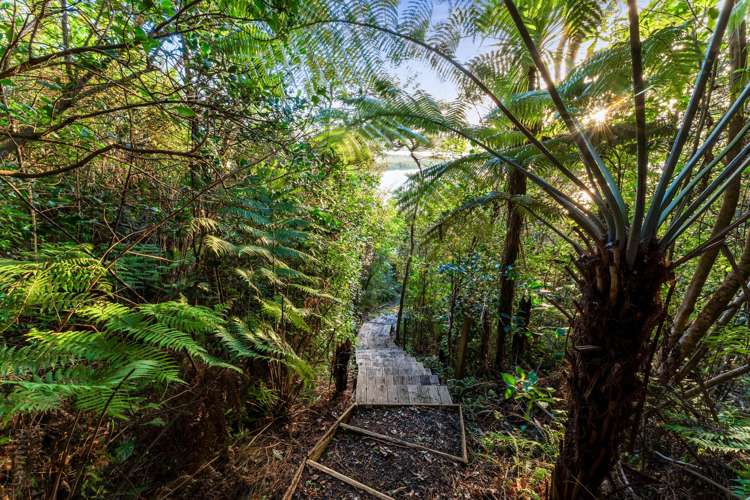 24 Poplar Road Stanmore Bay_7