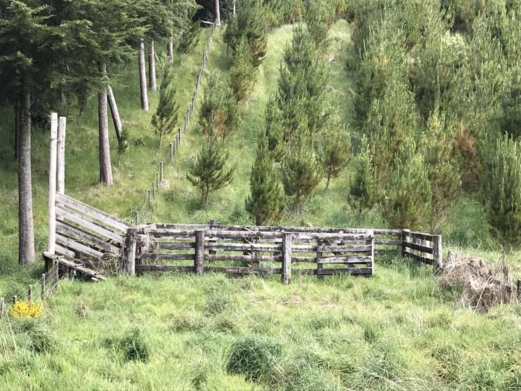 67 Tangye Road Oruanui_6