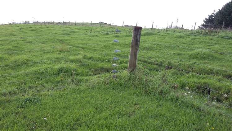 470 Maukutea Drive Kawhia_5