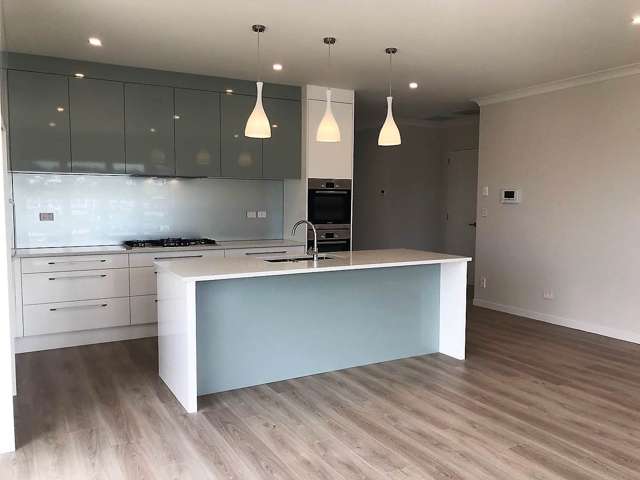 88 Ormonde Drive Silverdale_1