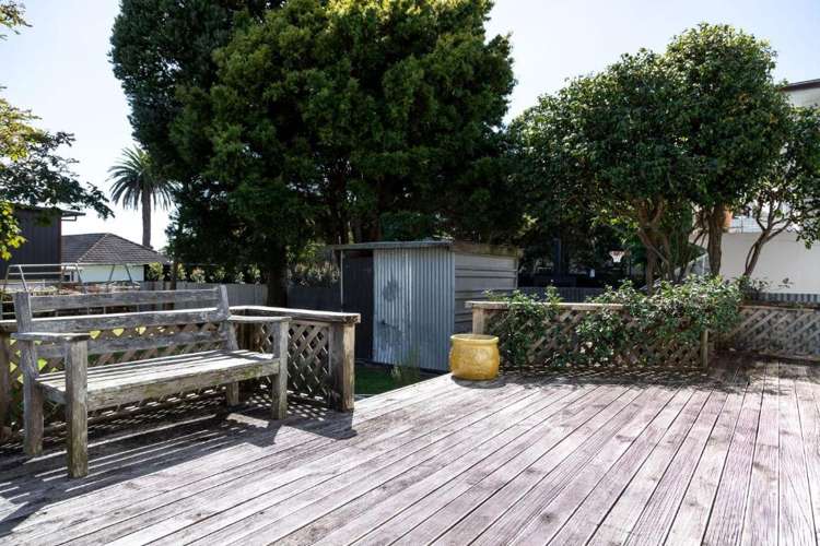 257 Courtenay Street Strandon_11