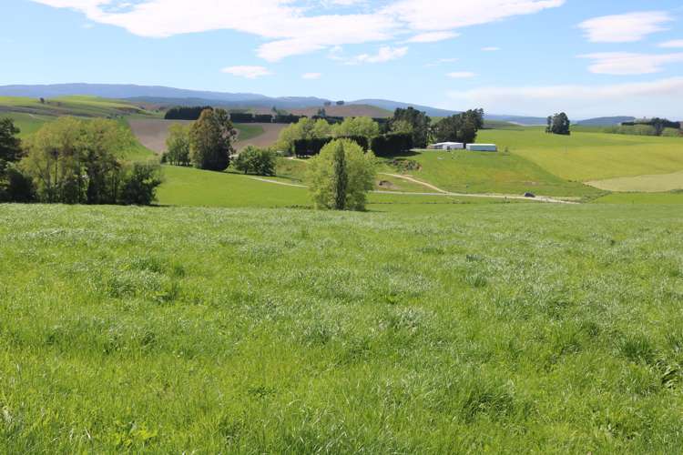 428 Wairuna Settlement Road Clinton and Surrounds_11