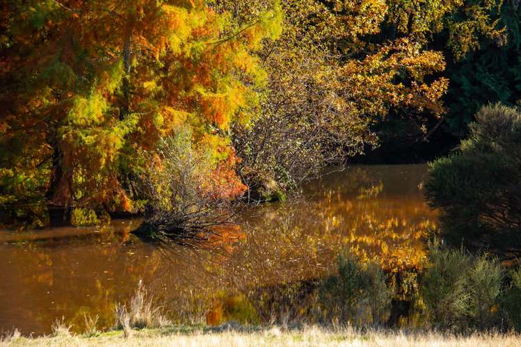 148 Mangatainoka Valley Road Eketahuna_24