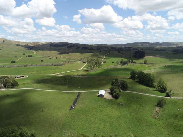 70c Manion Lane Morrinsville_2