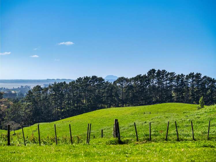 383 Busby Road Katikati_33