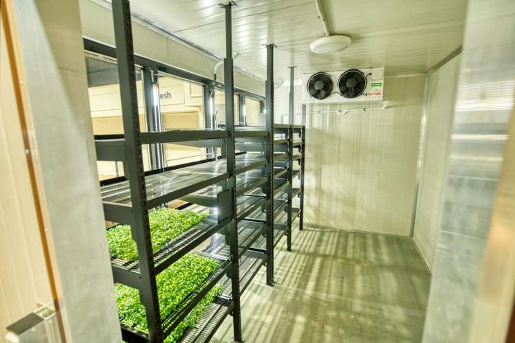 17 Power Road Karoro_17