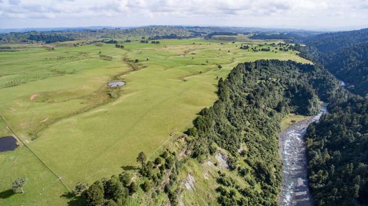 60 Bullians Road Owhango_13