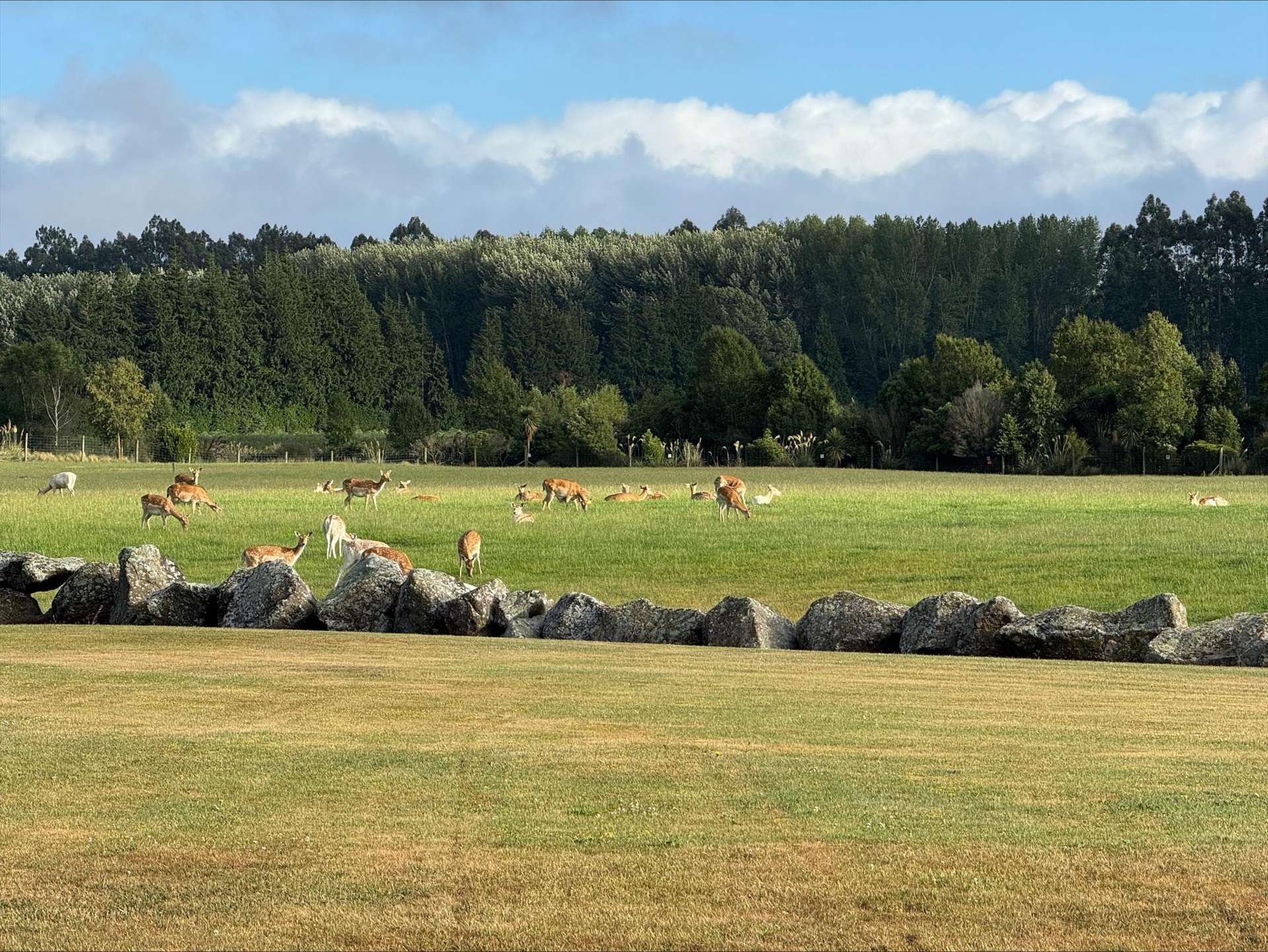 18 Meadowlinks Lane Pleasant Point_0