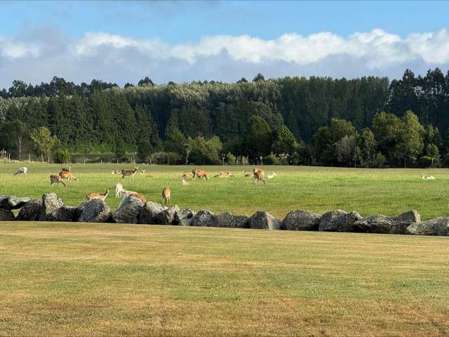 18 Meadowlinks Lane Pleasant Point_3