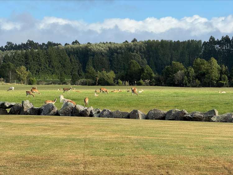 18 Meadowlinks Lane_3