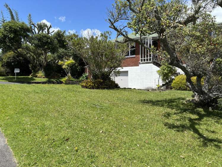 492 Hillsborough Road Mount Roskill_11