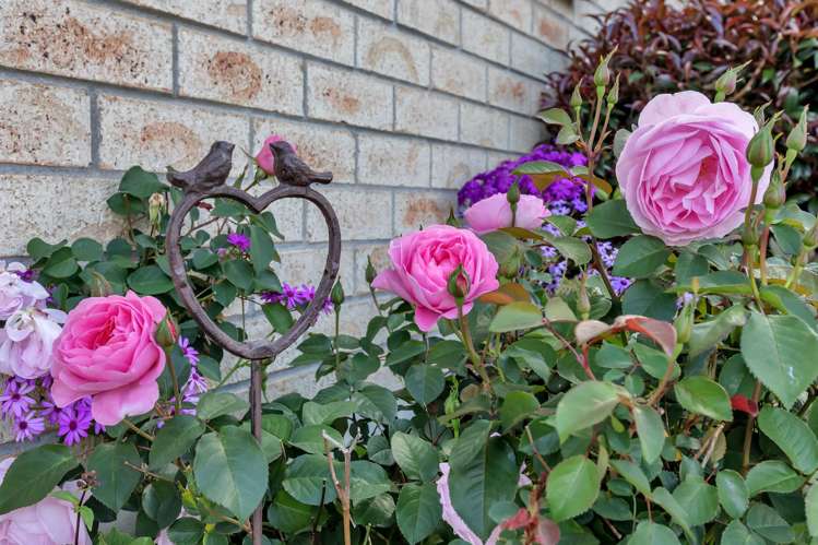 20 Ketenikau Road Te Kamo_14