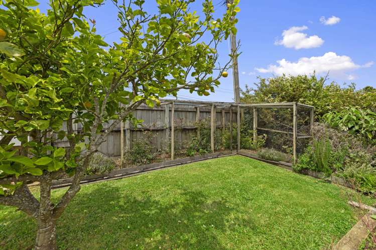 38 Norrie Ave Raglan_16