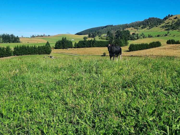 2000 Hillfoot Road Warepa_5