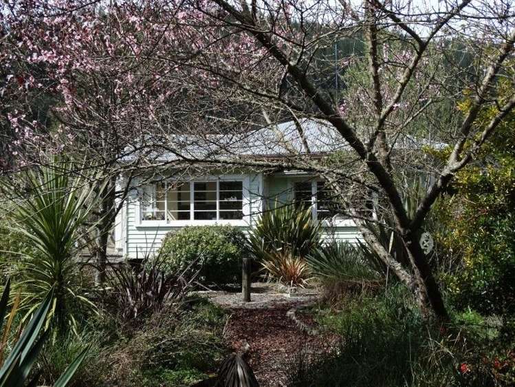 453 Kohatu-Kawatiri Highway Kahurangi National Park_5