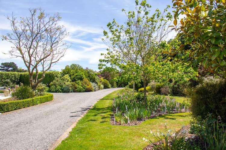 121 Ferry Road Martinborough_17