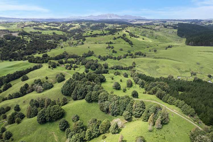 Coxhead Road Parakao_10