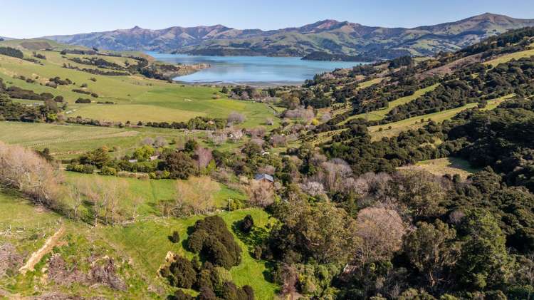 38 Tizzards Road Robinsons Bay_46