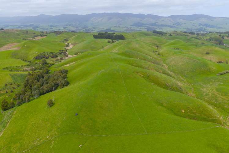 137 Zigzag Road Pohangina Valley_24