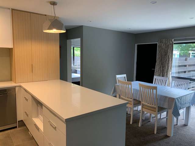 60 Creyke Road Ilam_3