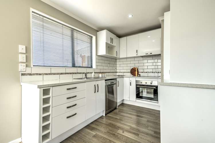 1 Daisy Street Claudelands_1