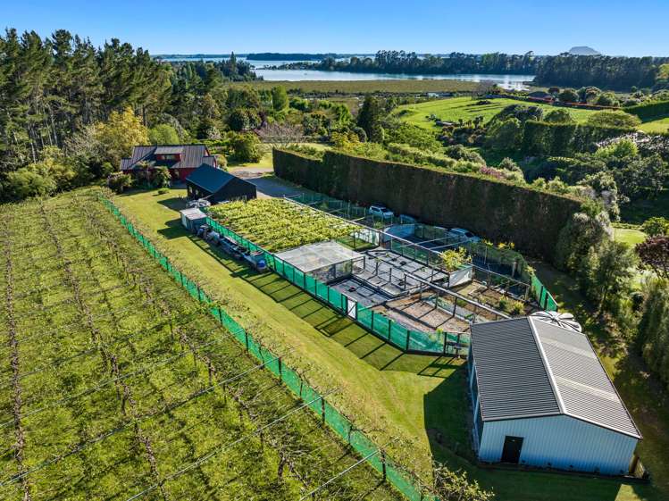 34B Jess Road Whakamarama_26