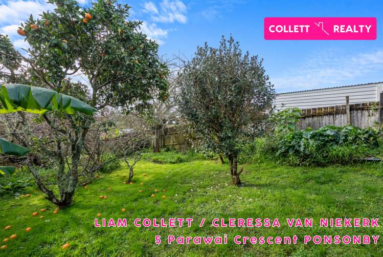 5 Parawai Crescent Ponsonby_8