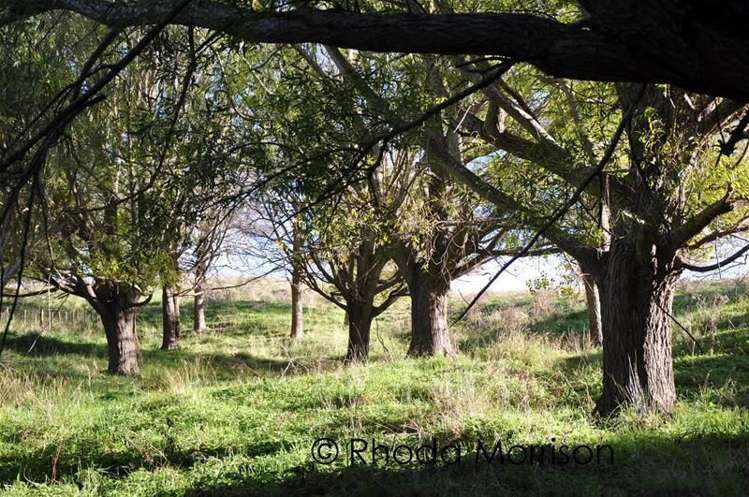 125 Jumna Road Maungaturoto_8