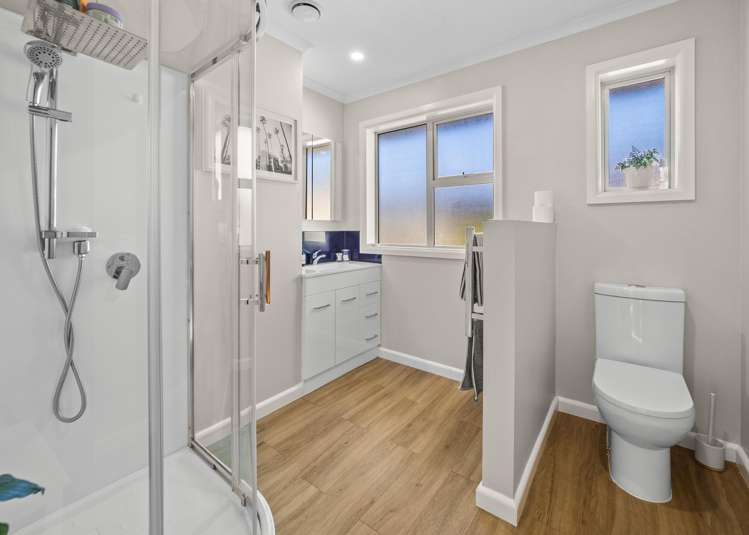 8 Porter Street Netherby_17