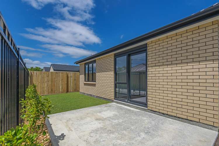 38 Hammond Street Bulls_14